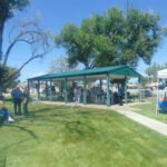 Alumni, family and community supporters gather in the park for annual picnic